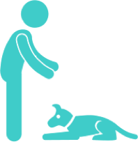 online dog training schools - dog laying icon