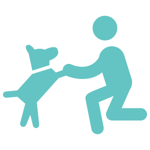 online dog training schools - dog reward icon