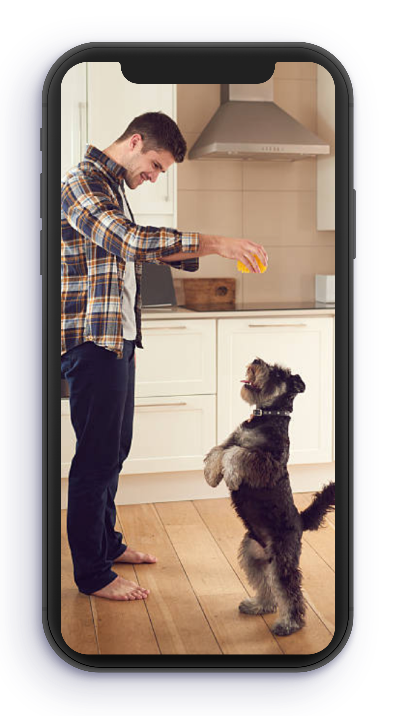online dog training schools from trainers all over